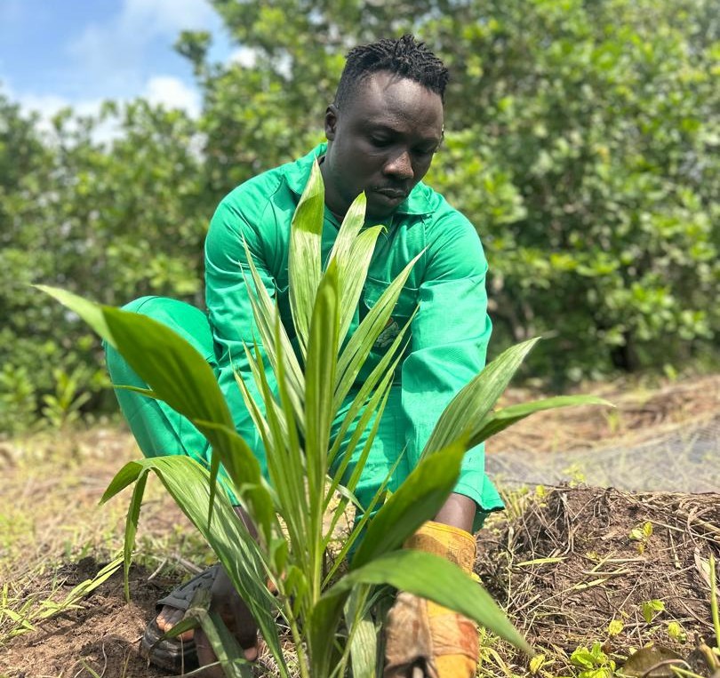 Sagamu Oil Palm Plantation