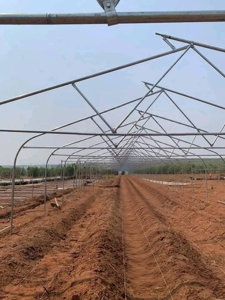 Epe Greenhouse Cultivation