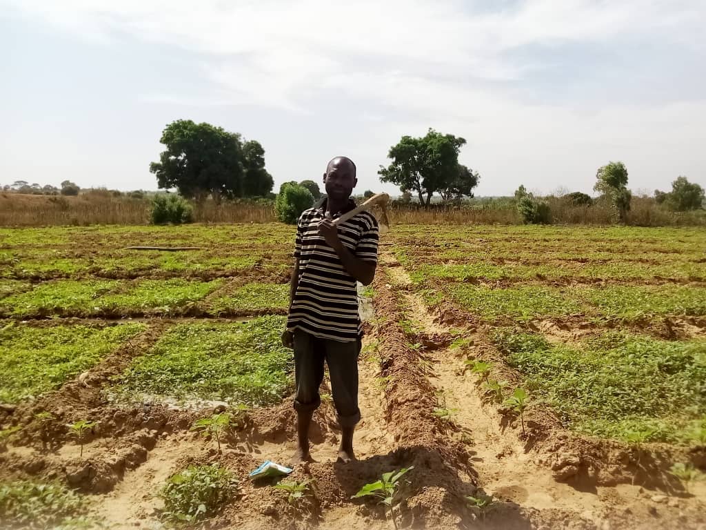 Hidden Land Disputes in Nigeria: What Investors Overlook During Farmland Purchases