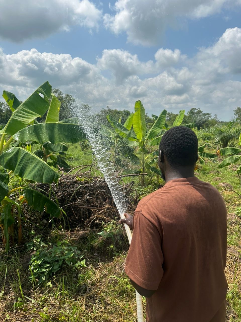 A Simple Guide to Starting Farming in Nigeria: Land, Crops, Costs, and What to Expect