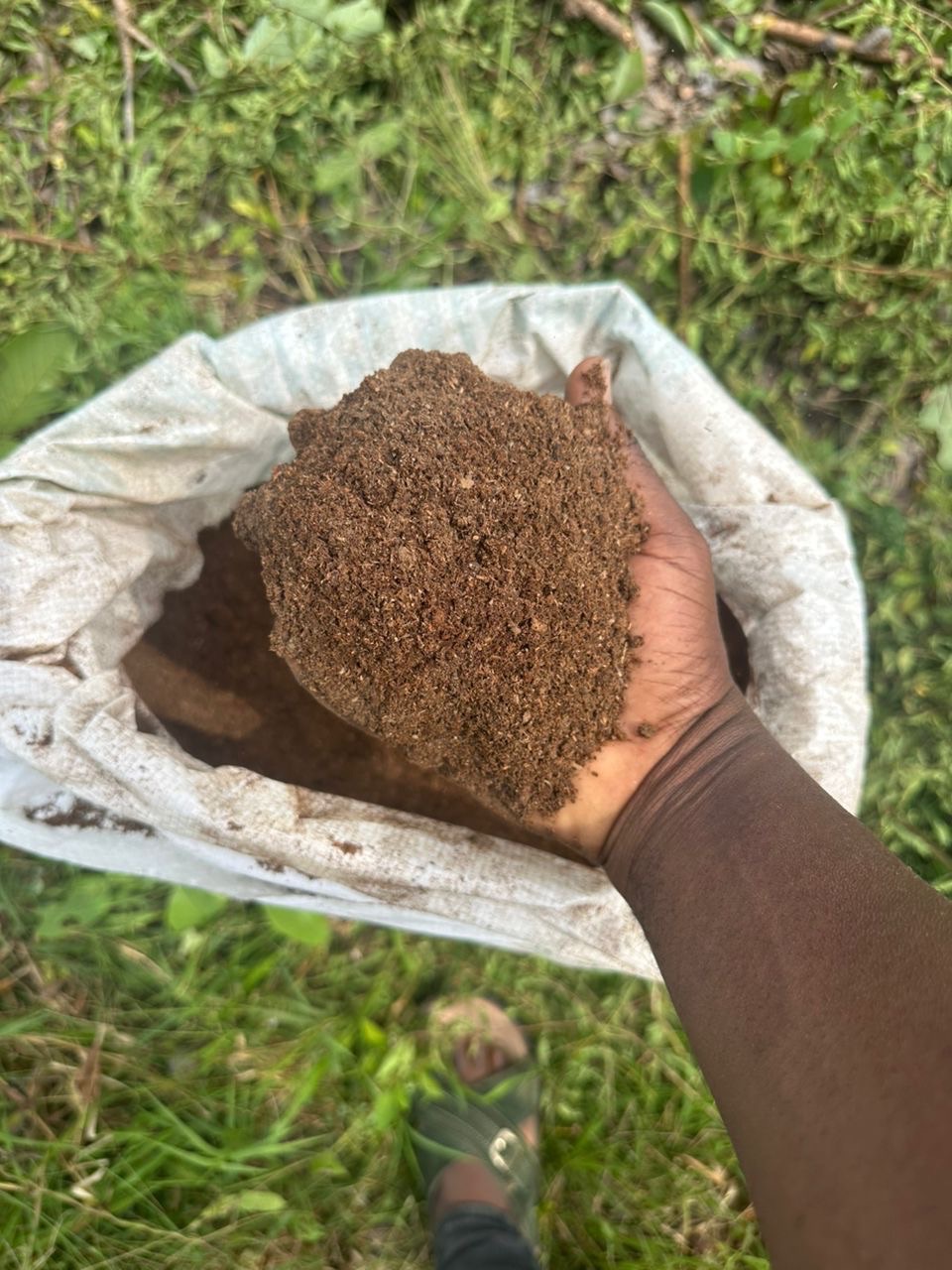 How Much Does It Cost to Establish Tree Crops Per Acre in Nigeria?