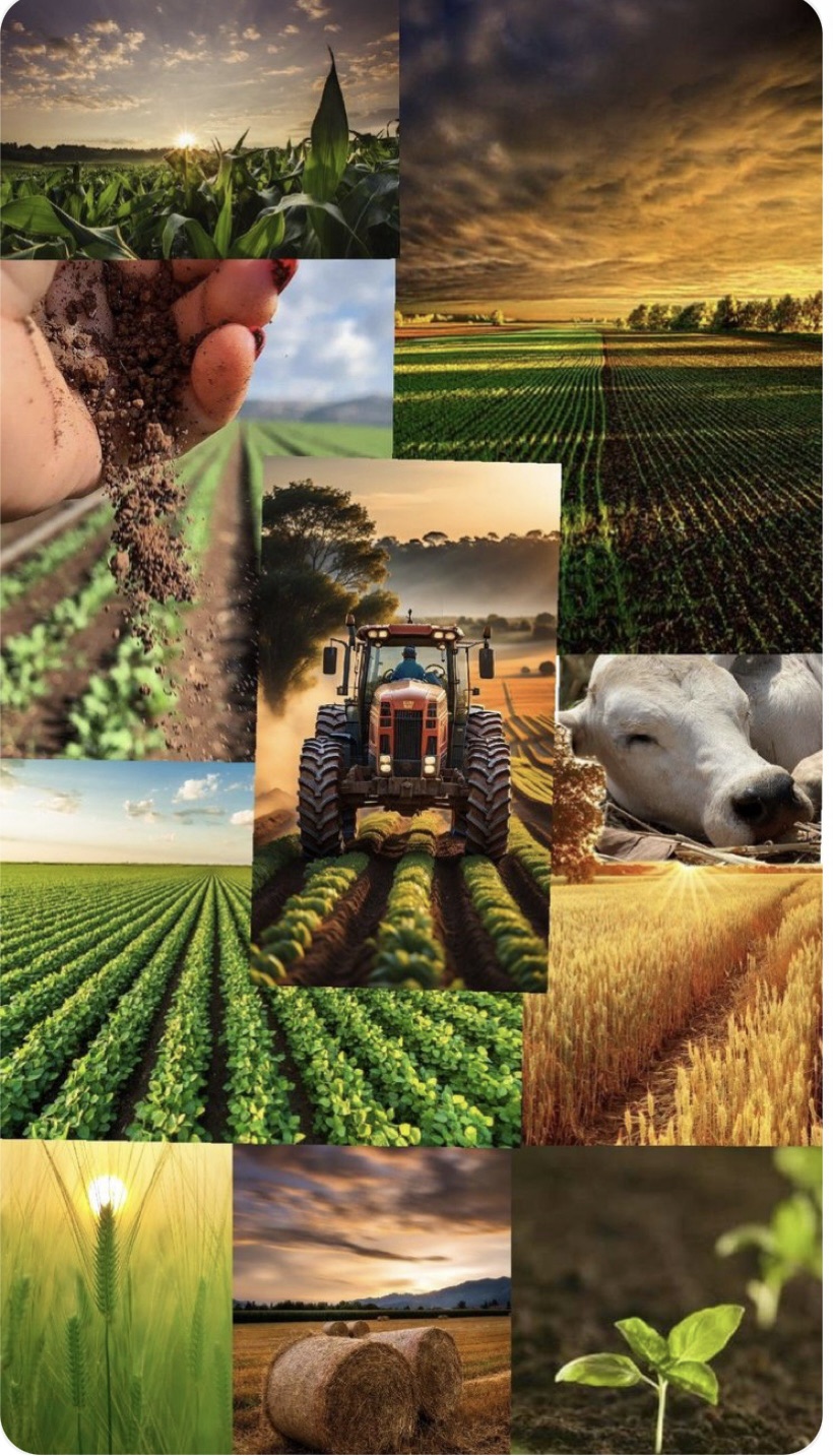 Beginner Farming Mistakes to Avoid Before Planting Your First Crop in Nigeria