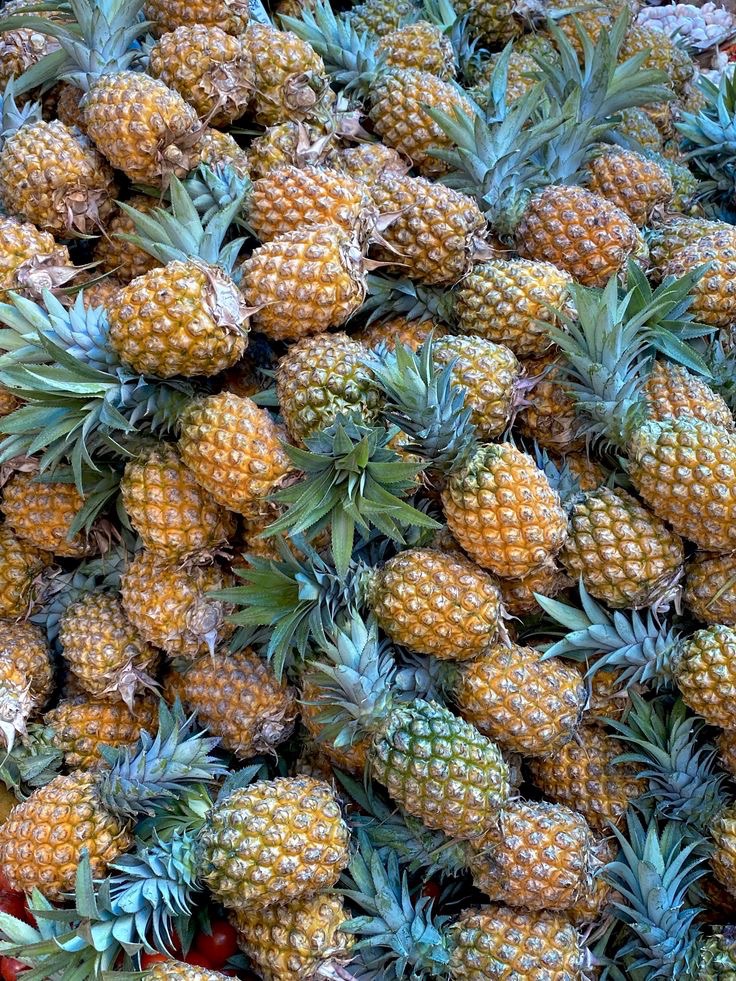 How Much Can You Make From 1 Acre of Pineapple? (Year-by-Year Returns)